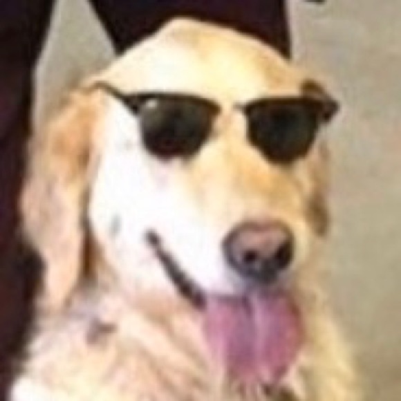 Meet your Posher, Paulina - Picture 1 of 1